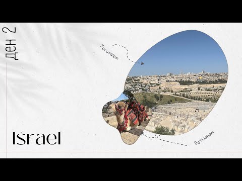 Видео: Срещнахме най-известната камила | ИЗРАЕЛ, ден 2