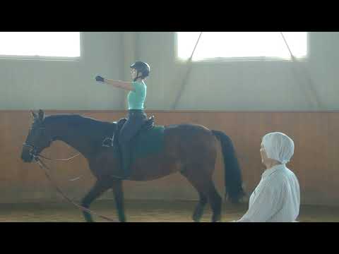 Видео: Упражнения на шагу и на рыси без стремян.