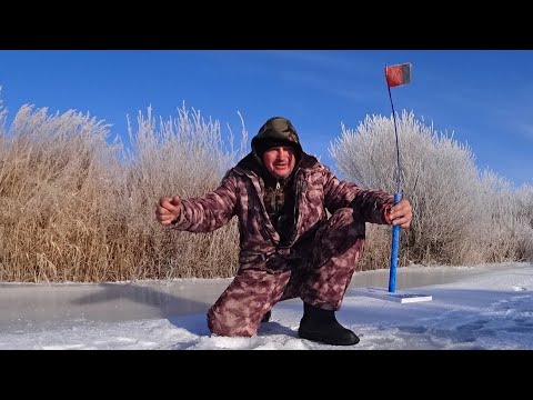 Видео: "Зимний улов: Как я нашёл рыбу в неожиданном месте"