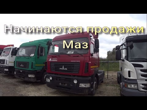 Видео: Маза  хист