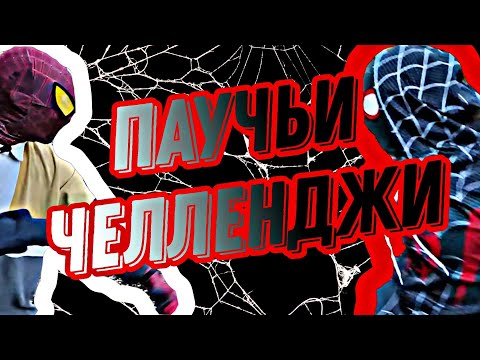 Видео: 🕸ПАУЧЬИ ЧЕЛЛЕНДЖИ #1❤