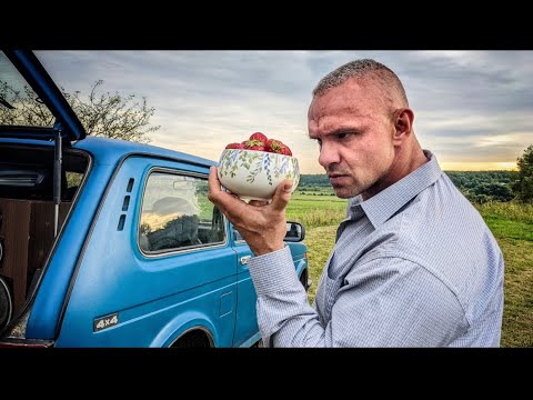 Видео: УМ В ГОЛОВЕ ГОЛОВА В УМЕ 15.08.22