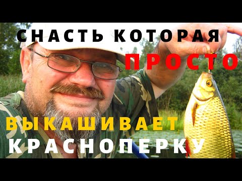 Видео: СНАСТЬ С КОТОРОЙ РЫБУ БУДЕШЬ ТАСКАТЬ ВЕДРАМИ
