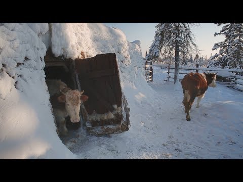 Видео: Якутия /Мальжегар, Нюрбинский улус/ Yakutia