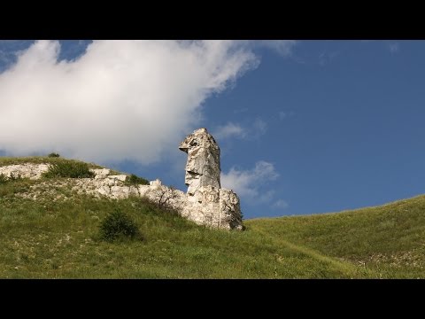 Видео: Дивногорье глазами туристов