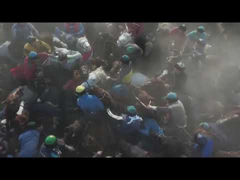 Видео: Рәтбекұлы Нұртаза бауырымыз Алладан ұл сұрап  беріп жатқан көкпары 2021