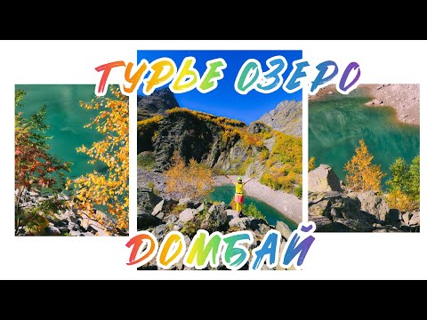 Видео: #108 Турье  озеро , Алибекский ледник, Домбай, 6.10.24 #домбай #travelvlog #mountains #кчр #поход