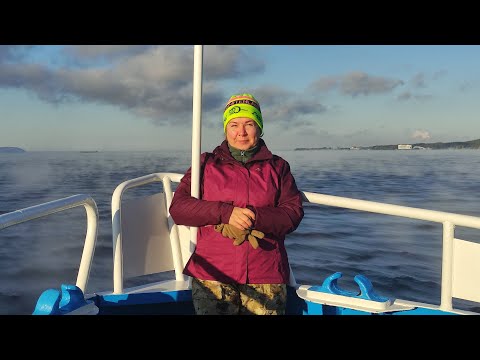 Видео: Обвал возле "Волжского Утёса"