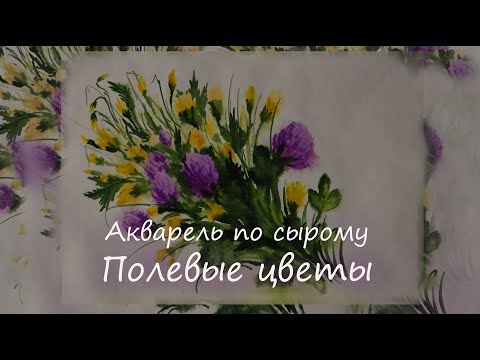 Видео: Акварель по сырому.Полевые цветы