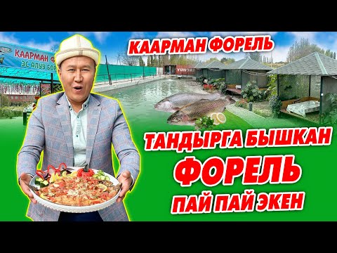 Видео: Ой Боой ТАНДЫР ФОРЕЛЬ жедиңиз беле? ~ Каарман ФОРЕЛГЕ барыңыз ѲЗГѲЧѲ даамдар сизди күтѳт