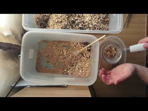 Видео: Генеральная уборка у жука знахаря