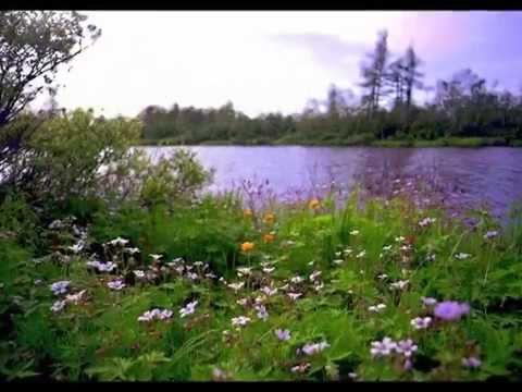 Видео: Я поля влюбленным постелю