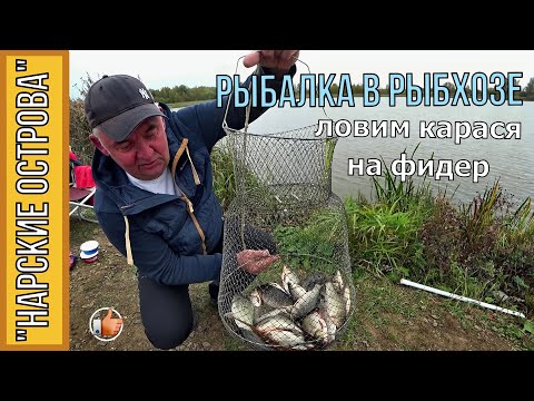 Видео: РЫБАЛКА в рыбхозе "НАРСКИЕ ОСТРОВА", ЛОВИМ КАРАСЯ на ФИДЕР. Отличная рыбалка!