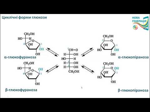 Видео: ВУГЛЕВОДИ: циклічні форми глюкози і фруктози. ХІМІЯ 10 клас