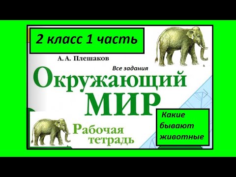 Видео: Окружающий мир 2 класс рабочая тетрадь. Какие бывают животные. Все задания