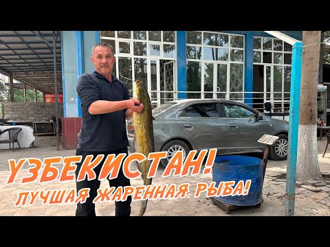 Видео: Эта жаренная рыба лучшая в Узбекистане! Наманган! Балыкчи!