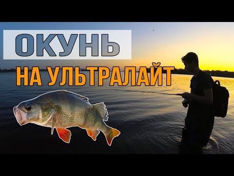 Видео: ЛОВЛЯ ОКУНЯ НА УЛЬТРАЛАЙТ | ЛОВЛЯ СУДАКА В КОНЦЕ АВГУСТА | ПРИГОТОВЛЕНИЕ СУДАКА В КЛЯРЕ