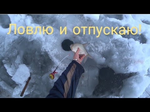 Видео: Праздничный ужин в землянке. Рыбалка 1 января. Клёв как из пулемета.