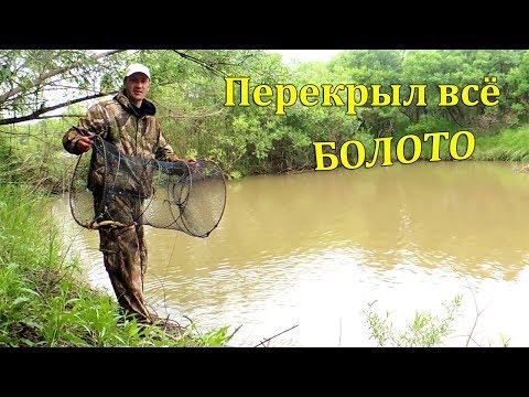Видео: РЫБАЛКА НА ПАУК МОРДУШКУ РЕЗИНКУ. ПЕРЕГОРОДИЛИ СНАСТЯМИ ВСЁ БОЛОТО.