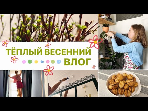 Видео: ОБНОВЛЕНИЕ КВАРТИРЫ К ВЕСНЕ ❤️ покупки, приятные домашние хлопоты, приятный быт