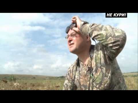 Видео: Охота сурка байбака в Ростовской области . 2018
