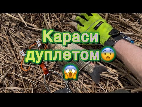 Видео: Одним выстрелом двух карасей!!! Охота с рогаткой с дерева👍#2025 #slingshot#охотасрогаткой