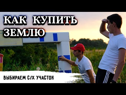 Видео: Как выбрать землю сельхозназначения? Пытаемся купить участок на 6 гектар