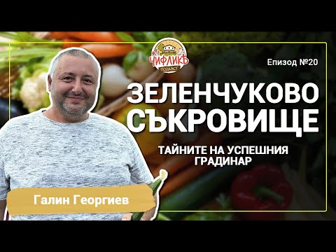Видео: Чифлика Подкаст Еп.20 - Галин Георгиев (Основател на "Зеленчуково Съкровище")