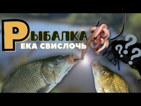 Видео: Рыбалка на реке Свислочь. Рыбалка на поплавочную удочку.
