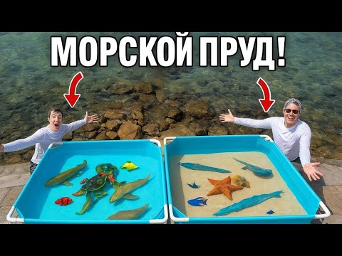 Видео: ПРИЛИВНЫЕ ПРУДЫ С СОЛЕНОЙ ВОДОЙ, В ПЛЯЖНЫХ КАМНЯХ ВОДОХРАНИЛИЩА ОБИТАТЕЛИ МОРСКИХ СУЩЕСТВ!