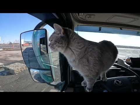 Видео: продолжение рабочих будней