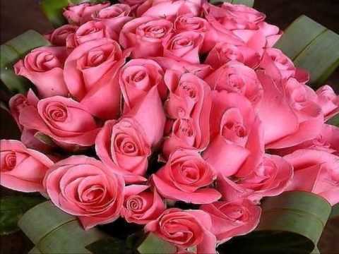 Видео: ЭТИ РОЗЫ ДЛЯ ТЕБЯ!
