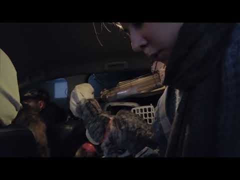 Видео: Фильм "ПОБЕГ"