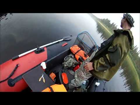 Видео: Рыбалка на Печоре 2022