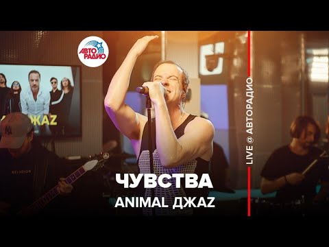 Видео: Animal ДжаZ - Чувства (LIVE @ Авторадио)