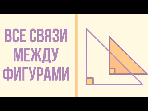 Видео: ПОДОБНЫЕ ТРЕУГОЛЬНИКИ И ПРОПОРЦИИ. ЧТО НУЖНО ЗНАТЬ?