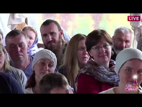 Видео: свт.Николай Чудотворец вступился. Факт помощи из Испании (Владимир Головин)