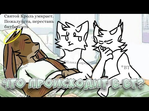 Видео: ЧТО ПРОИСХОДИТ В ВТ? (Catwar)