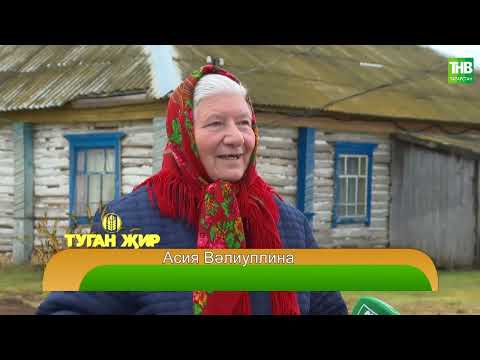 Видео: Туган җир 01/11/24