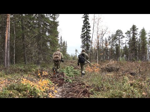 Видео: ОХОТА В ТАЙГЕ НА РЯБЧИКА И ТЕТЕРЕВА. ПЕТЛИ НА ГЛУХАРЯ. ДИКАЯ ТАЙГА.