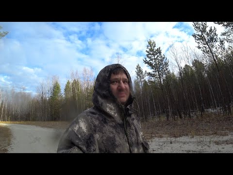 Видео: таёжные хроники 2025, осень,октябрь.