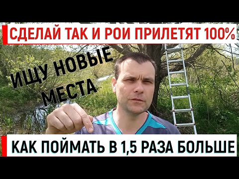Видео: Как поймать в 1,5 раза больше роев. Сделай так и результат 100% Поиск новых мест.