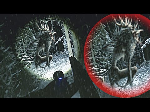 Видео: ЧУДОВИЩЕ В САМОМ СТРАШНОМ ЛЕСУ