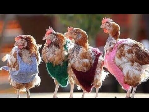 Видео: 🤥КТО ЛЕЗЕТ К ВАМ⁉️И ЧТО ГОВОРЯТ‼️#tarot #сплетни