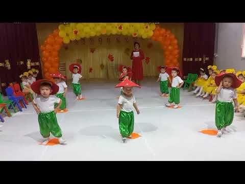 Видео: Саңырауқұлақтар биі