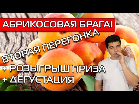 Видео: АБРИКОСОВАЯ БРАГА! ВТОРАЯ ПЕРЕГОНКА И ДЕГУСТАЦИЯ