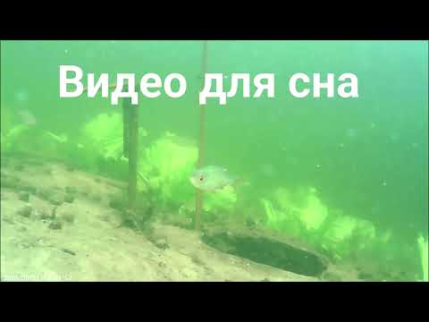 Видео: Видео для сна