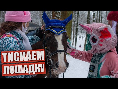 Видео: Тискаем лошадку ✅ ФУРРИ встреча в МОСКВЕ