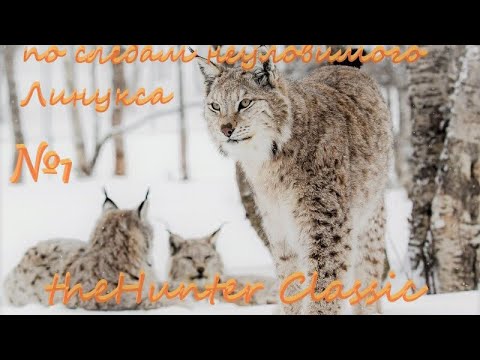 Видео: theHunter Classic #1 топ1 Lynx/миссии на Lynx