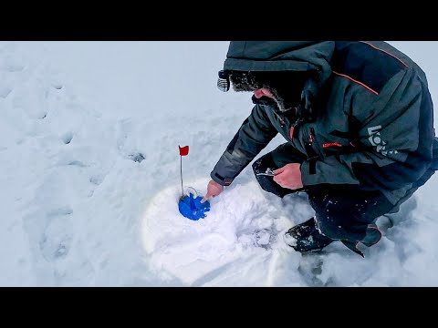 Видео: Я УСТАЛ БЕГАТЬ от такого КЛЁВА на жерлицы! Рыбалка на щуку на реке зимой в 2024